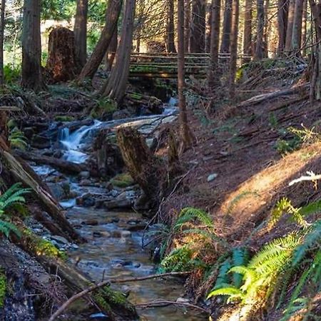 Forest Haven Hideaway Roberts Creek 외부 사진