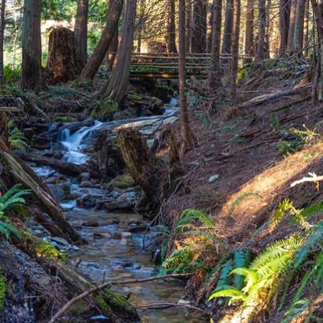 Forest Haven Hideaway Roberts Creek 외부 사진