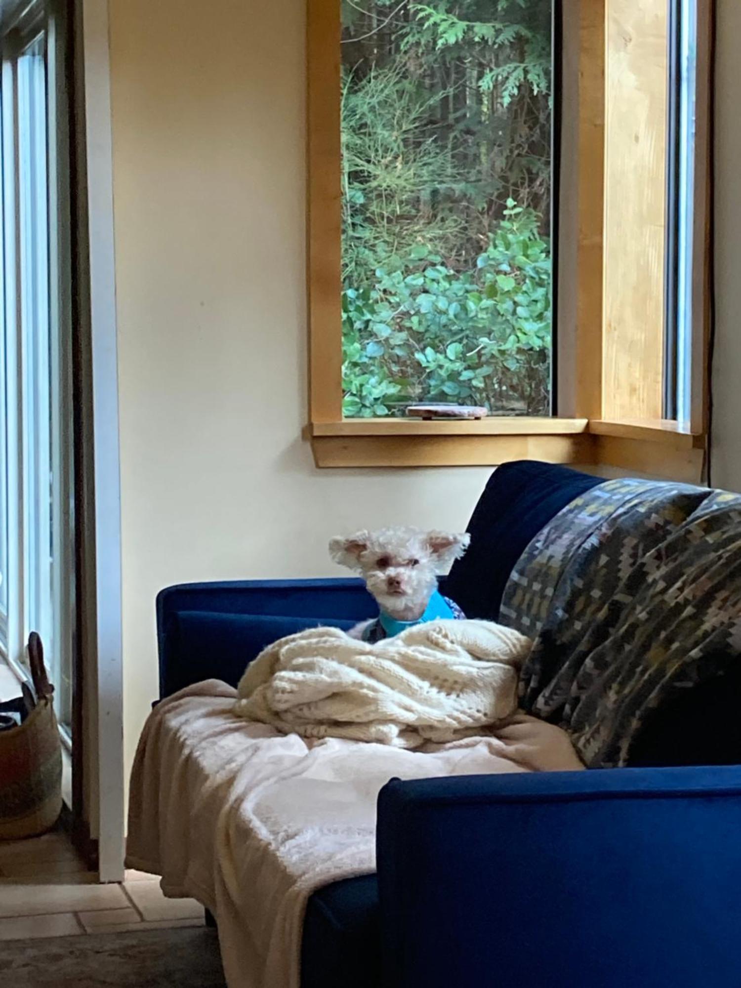 Forest Haven Hideaway Roberts Creek 외부 사진