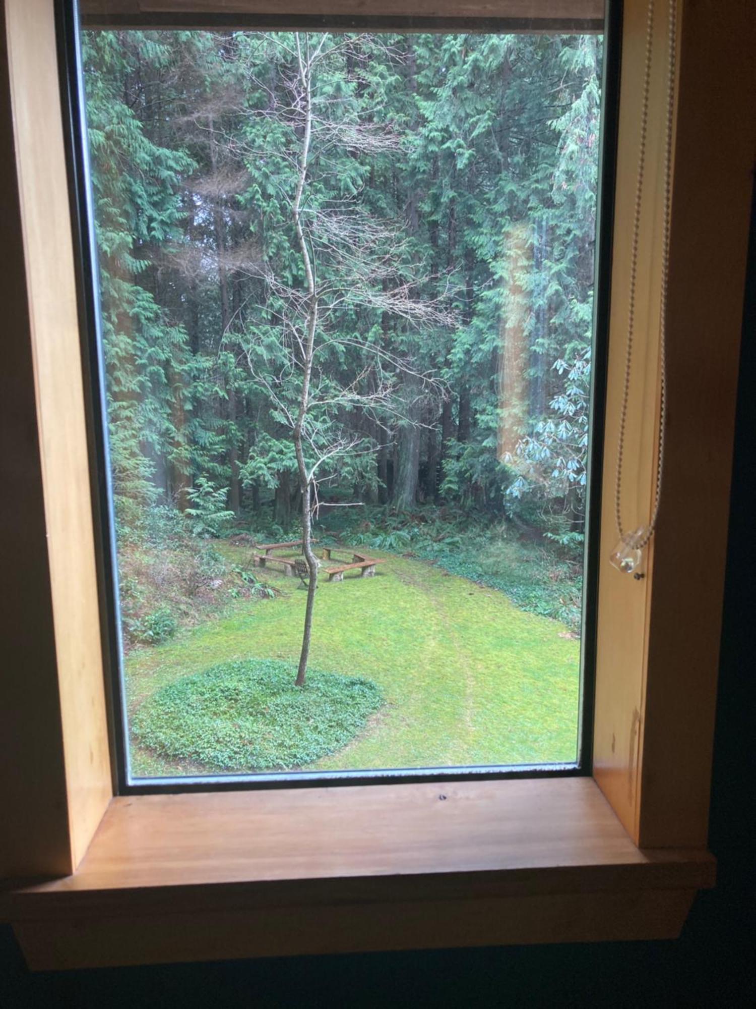 Forest Haven Hideaway Roberts Creek 외부 사진